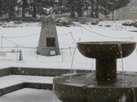 しながわ中央公園の雪景色