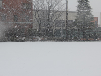 しながわ中央公園の雪景色