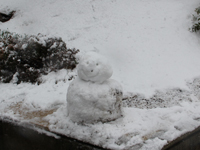 しながわ中央公園の雪景色