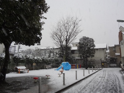 24年2月　西の森公園