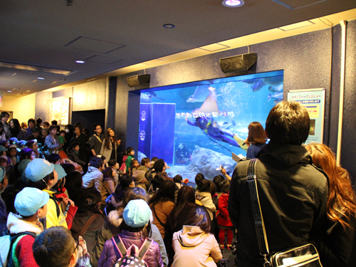 しながわ水族館ホワイトデーイベント