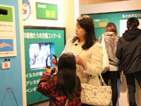 しながわ水族館　お魚小（笑？）学校