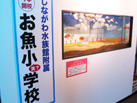 しながわ水族館 お魚小(笑?)学校