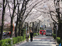 西小山・立会道路8