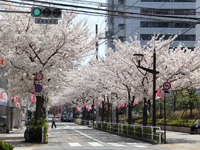 西小山・立会道路9