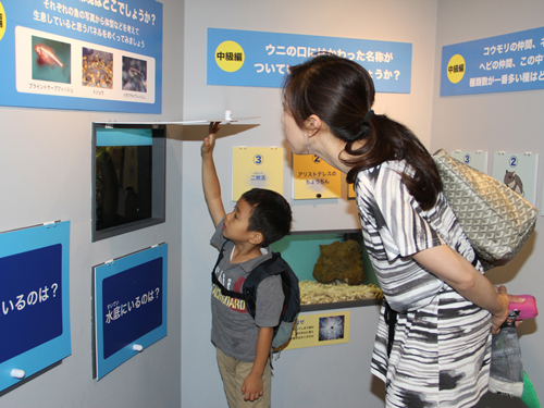 しながわ水族館 夏の特別展示