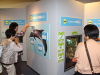 しながわ水族館　夏の特別展示