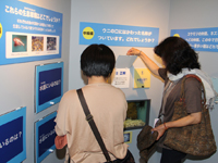 しながわ水族館 夏の特別展示