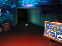 しながわ水族館 トンネル水槽入口