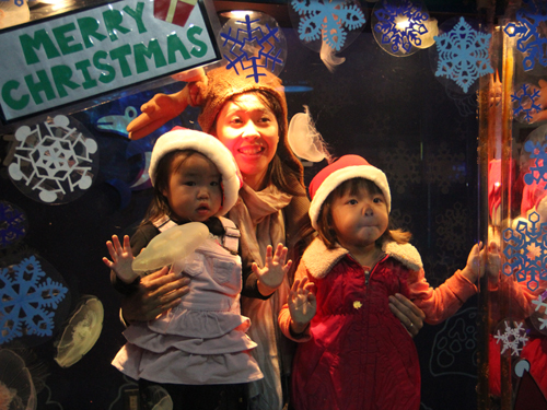 しながわ水族館のクリスマス2012