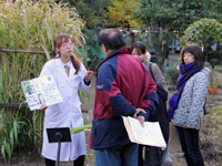 1000種類の薬草が栽培されている薬草園を見学