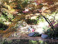 池田山公園の紅葉