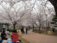 東品川海上公園1