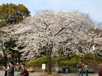 戸越公園内