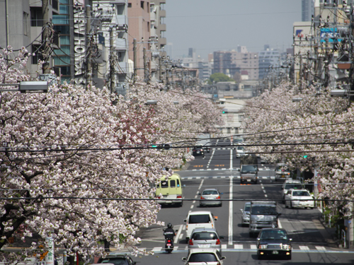 歩道橋からの眺め