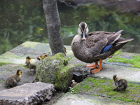 親子でひと休み