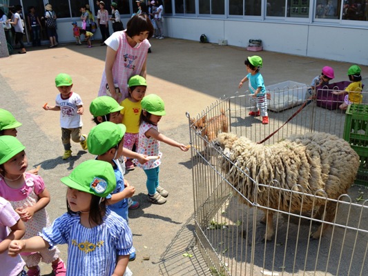 二葉すこやか園 移動動物園