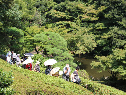 池田山公園を散策