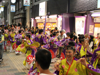 中延よさこい祭り