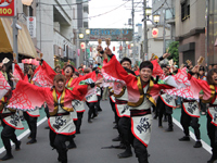 中延よさこい祭り