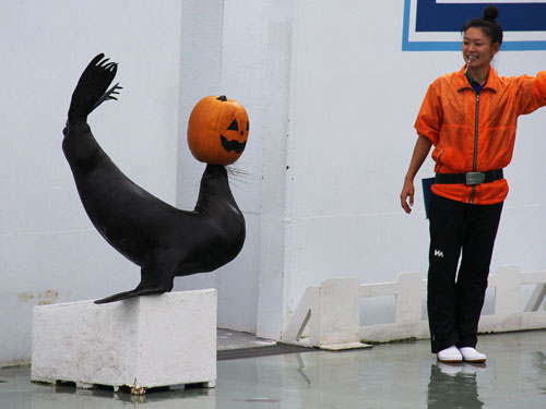 しながわ水族館 ハッピーハロウィン2013