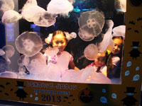 しながわ水族館 ハッピーハロウィン2013