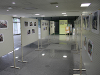 平成25年度 打ち水百景写真展