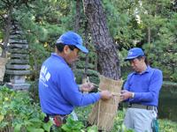 戸越公園で「こも巻き」