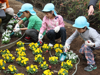 みんなで楽しく植え付け