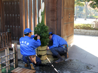 門松づくりの様子