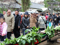 品川カブを見る区長