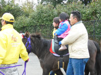 ポニーの体験乗馬