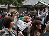 品川神社の節分