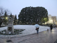 中央公園の雪化粧