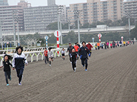 品川区ランニング大会 チャレンジダート IN 大井競馬場