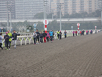 品川区ランニング大会 チャレンジダート IN 大井競馬場