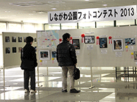 しながわ公園フォトコンテスト