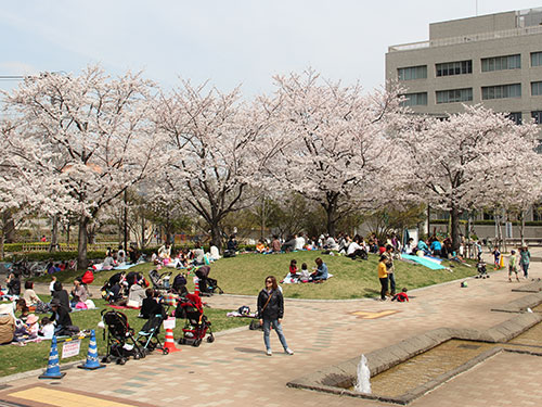 しながわ中央公園