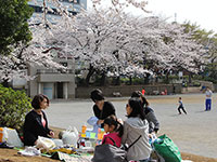 西大井広場公園