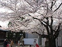 旗岡八幡神社