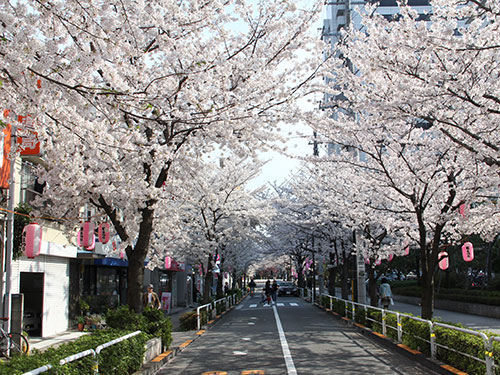 立会道路(昭和大学前)