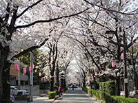 立会道路(西小山)