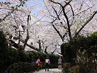 五反田公園