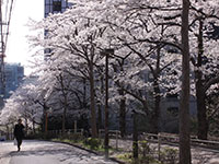 御殿山