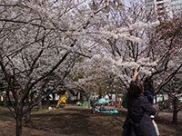 子供の森公園