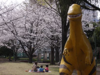 子供の森公園