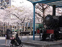 東品川公園