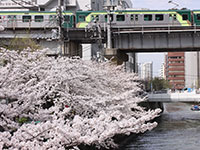 目黒川 k字橋