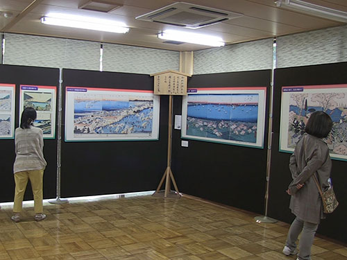 浮世絵パネルを見る女性