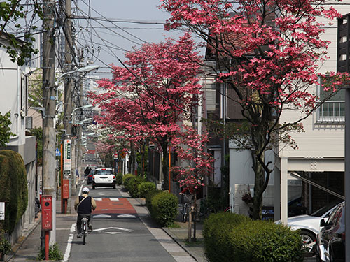 延山通り（荏原7丁目）